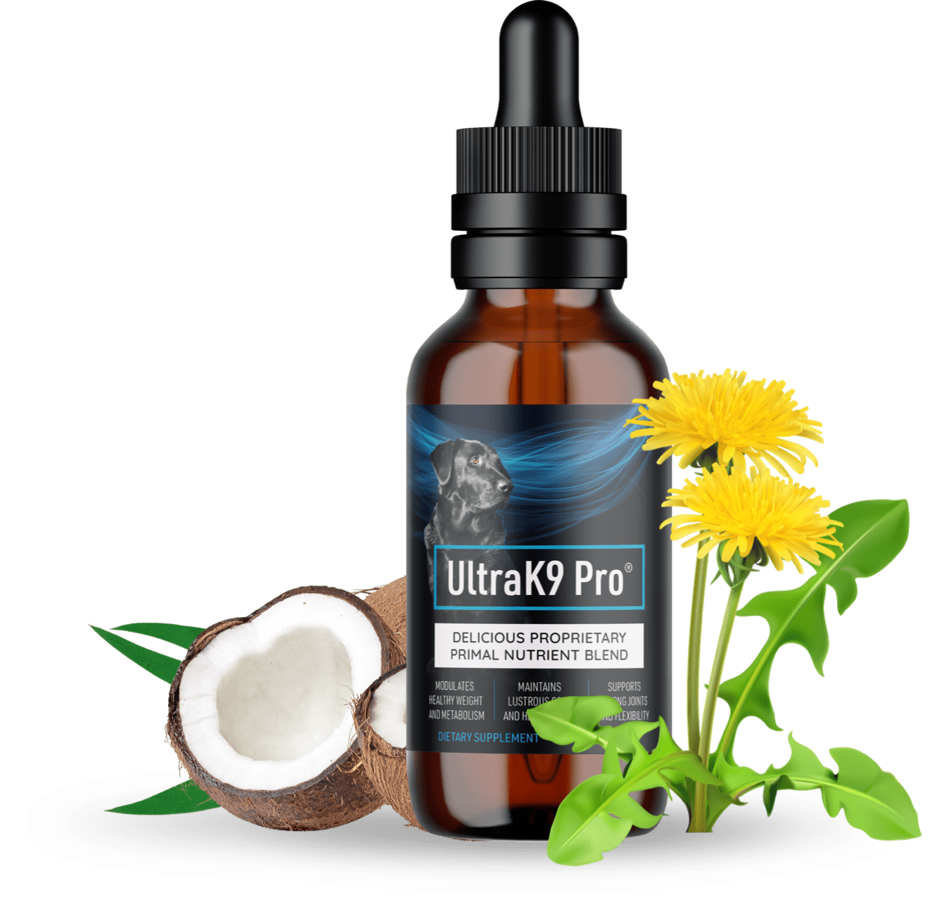 UltraK9 Pro: The Ultimate Supplement for Active Dogs